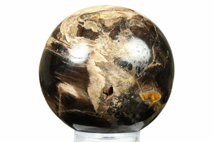 Petrified Wood (Tropical Hardwood) Sphere - Indonesia #266120
